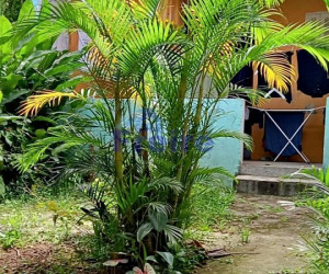 Casa em RUDGE RAMOS - S�O BERNARDO DO CAMPO por 700.000,00